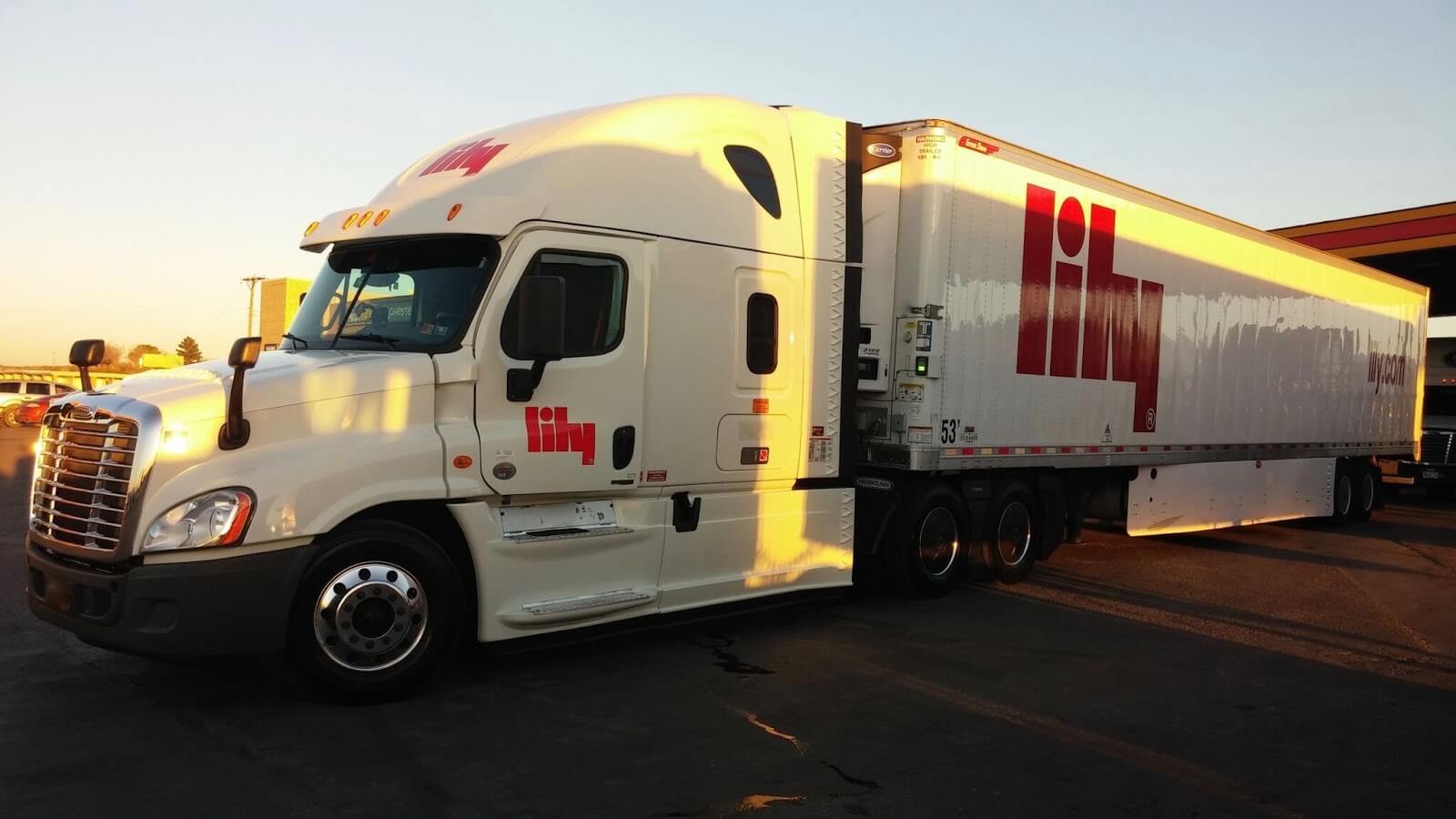 Lily Transportation - truck driver health